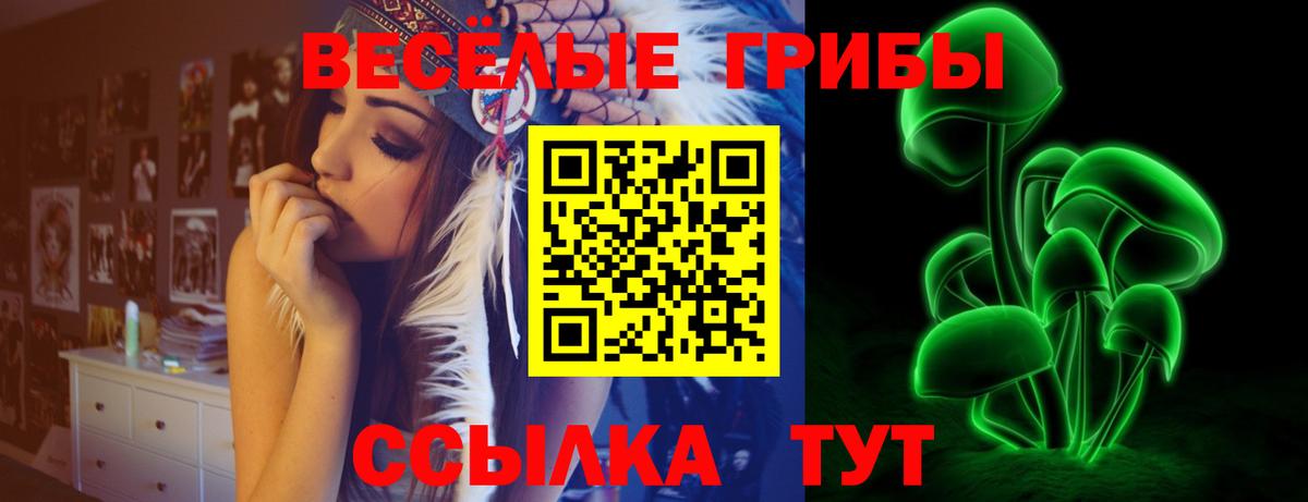 Галлюциногенные грибы Magic Shrooms  Вход с VPN  Снежинск  даркнет сайт  Псилоцибиновые грибы Psilocybine cubensis 